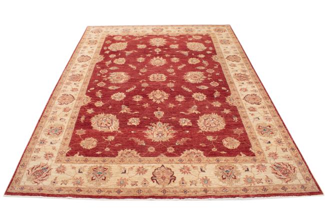 Ziegler Farahan - 3