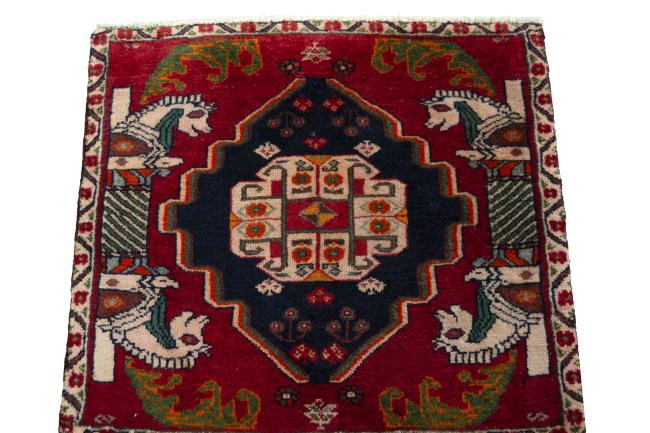 Shiraz - 3
