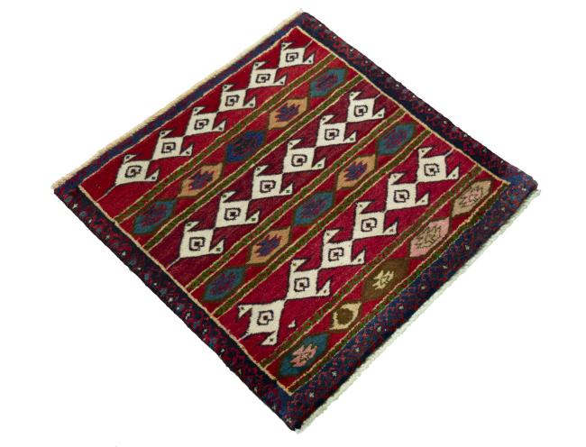 Shiraz - 2