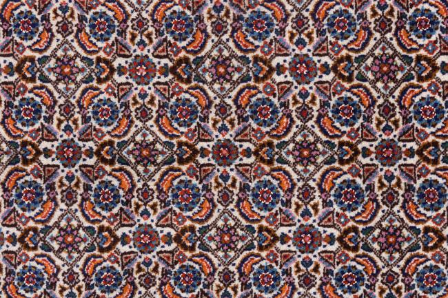 Moud - 6