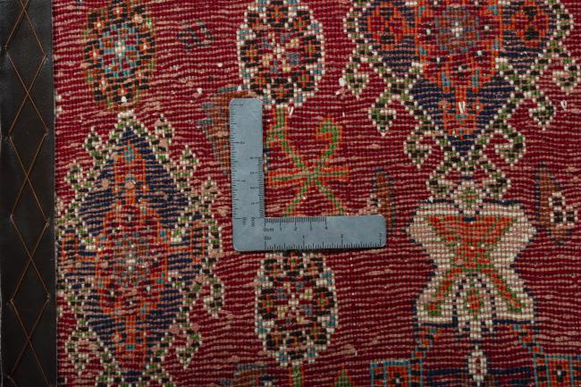 Shiraz - 4