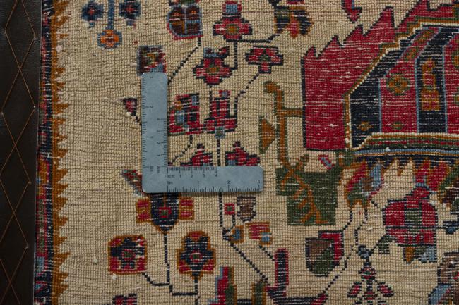 Shiraz - 4