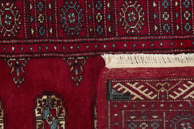 Pakistan Buchara 3ply - 1