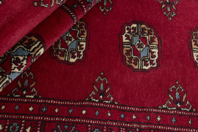 Pakistan Buchara 3ply - 2