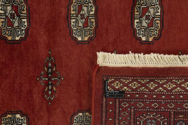 Pakistan Buchara 3ply - 1