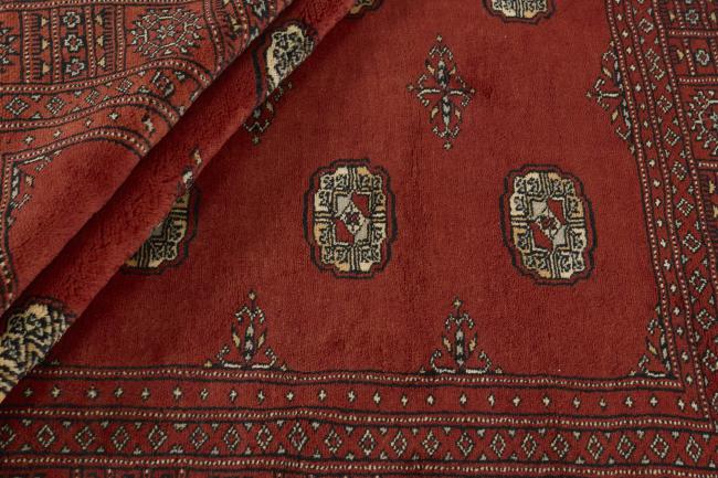 Pakistan Buchara 3ply - 2