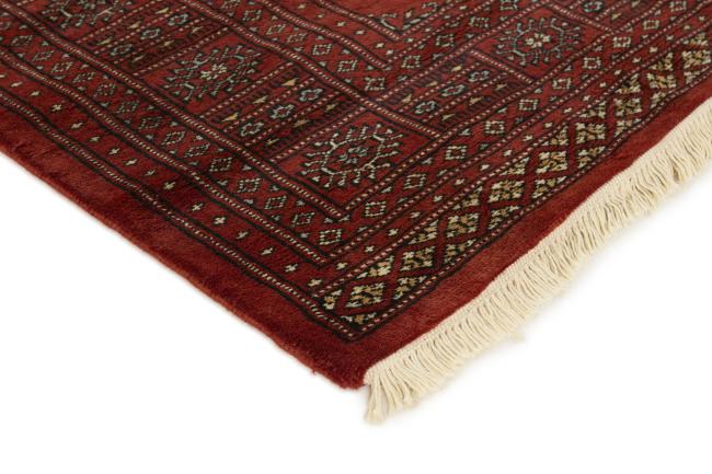 Pakistan Buchara 3ply - 3