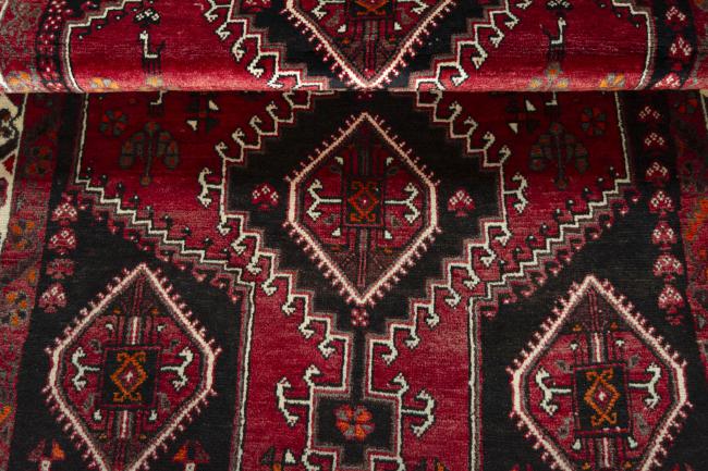 Shiraz - 7