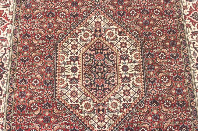 Indo Bidjar Super - 8