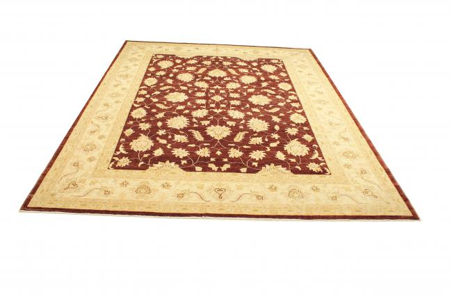 Ziegler Farahan - 5