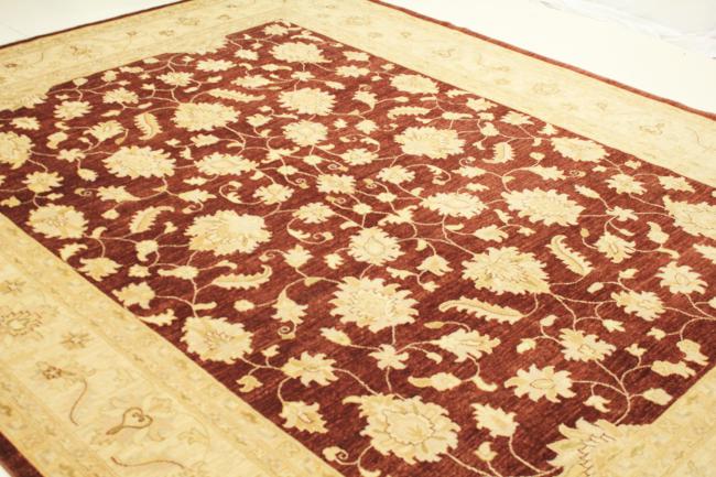 Ziegler Farahan - 6