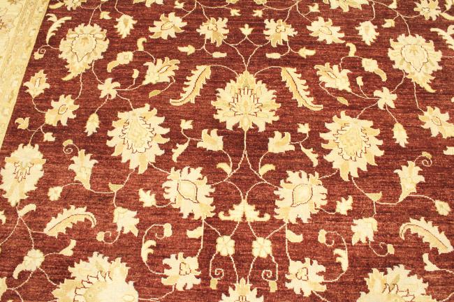 Ziegler Farahan - 8