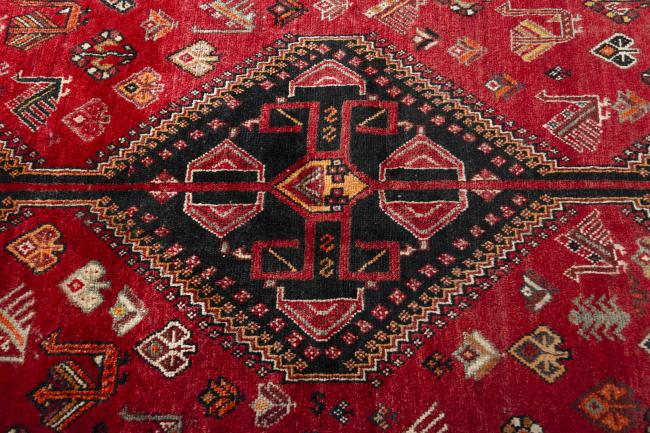 Shiraz - 5