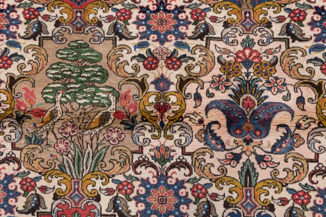 Bakhtiar Chaleshotor - 6