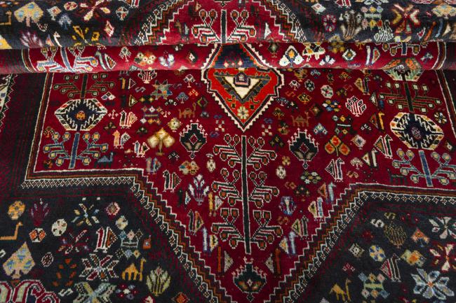 Shiraz - 8