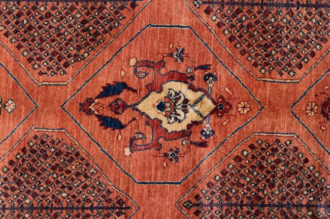 Περσία Γκάμπεθ Loribaft Z - 7