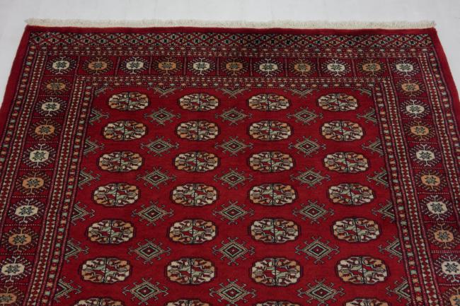 Pakistan Buchara 3ply - 4