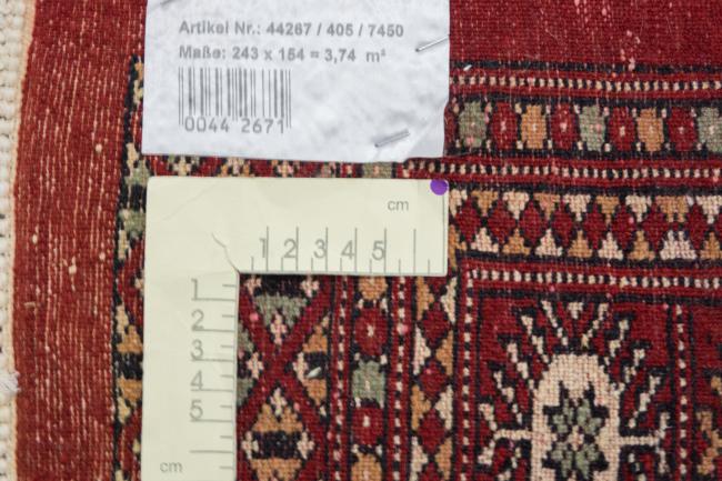 Pakistan Buchara 3ply - 6