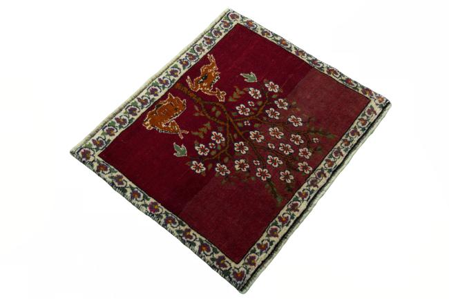 Shiraz - 2