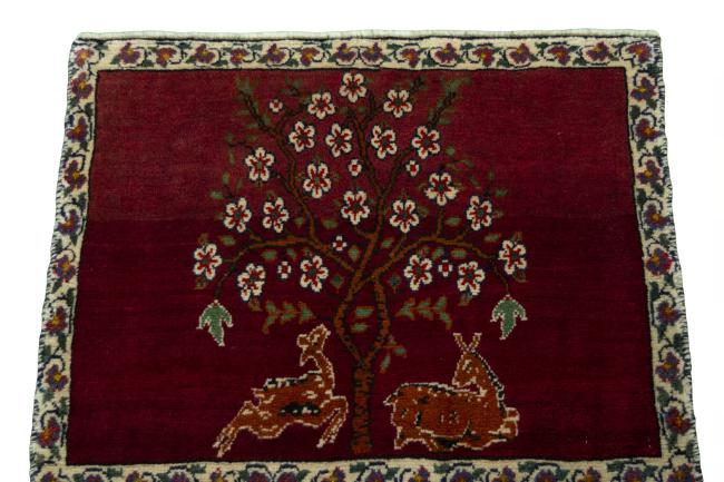 Shiraz - 3