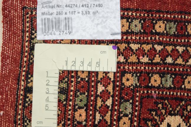 Pakistan Buchara 3ply - 6