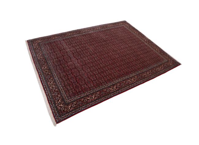 Bidjar - 2