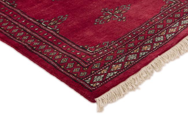 Pakistan Buchara 2ply - 3
