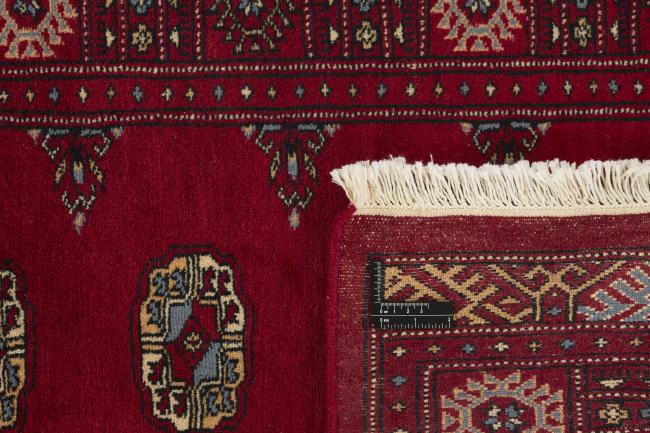 Pakistan Buchara 3ply - 1