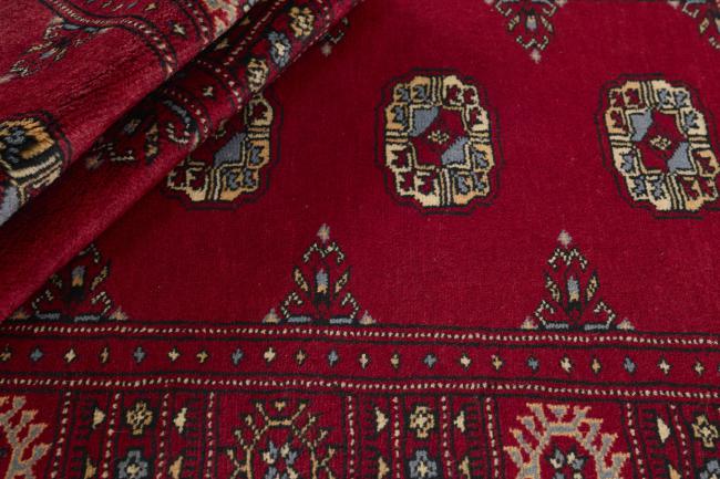 Pakistan Buchara 3ply - 2