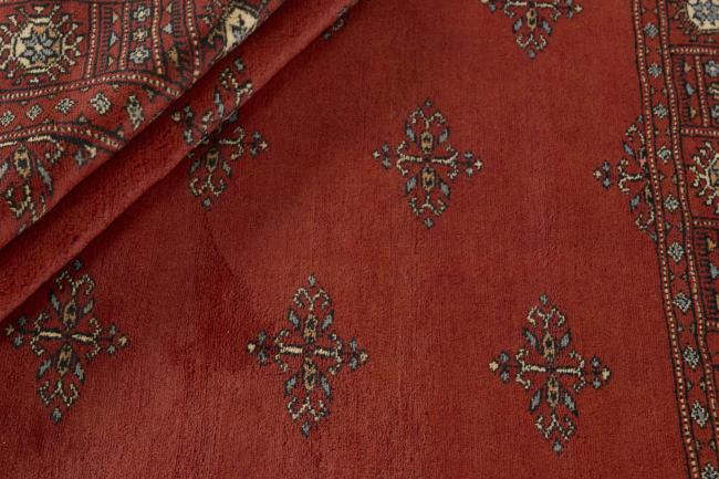 Pakistan Buchara 3ply - 2