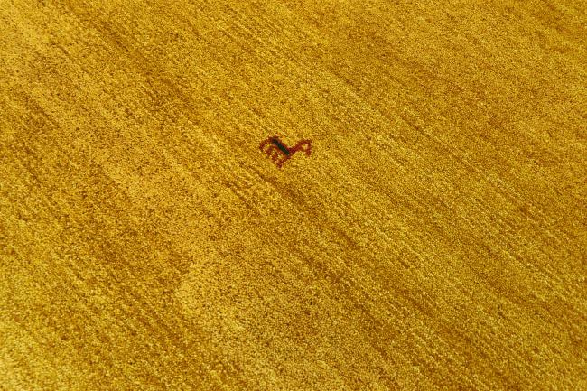 ギャッベ ペルシャ - 3