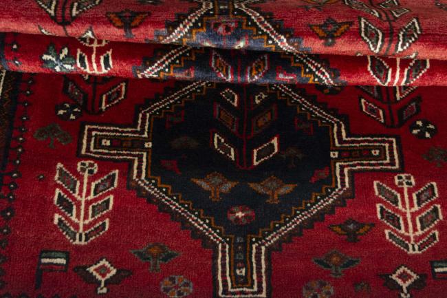 Shiraz - 8
