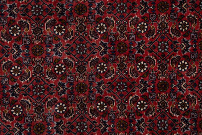 Bidjar - 7