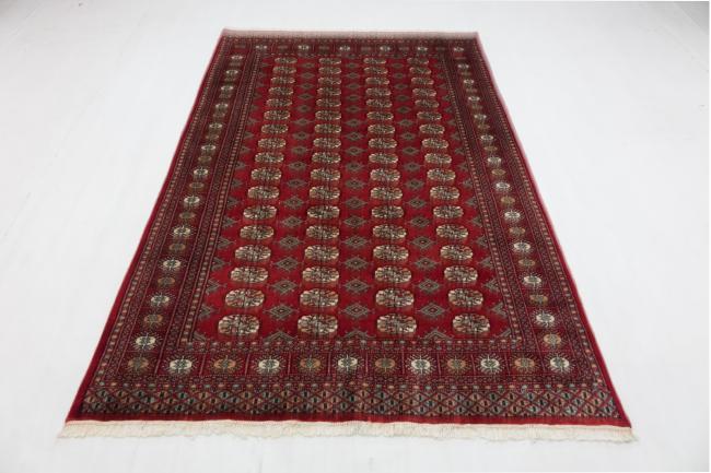 Pakistan Buchara 3ply - 1