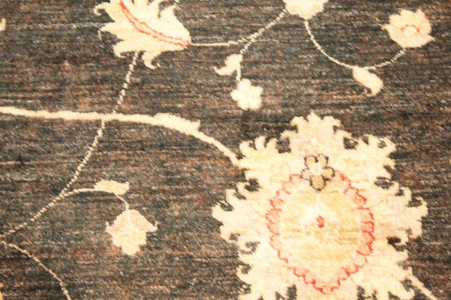 Ziegler Farahan - 10