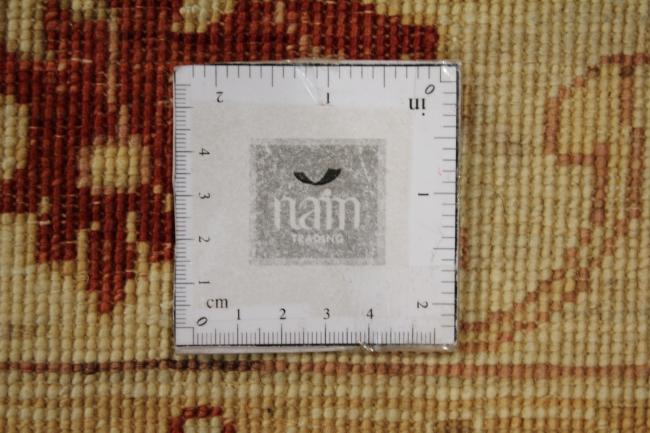 Ziegler Farahan - 11