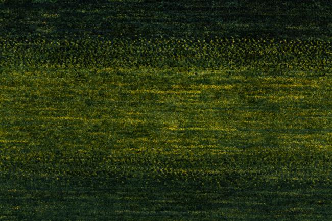 Persia Gabbeh Loribaft Atash - 7