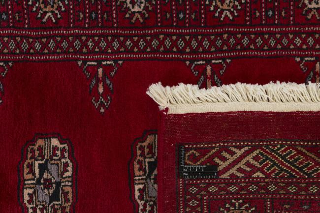 Pakistan Buchara 3ply - 1