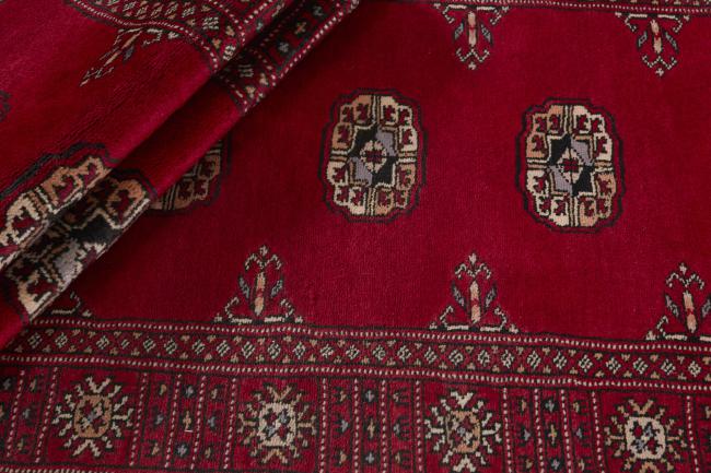 Pakistan Buchara 3ply - 2