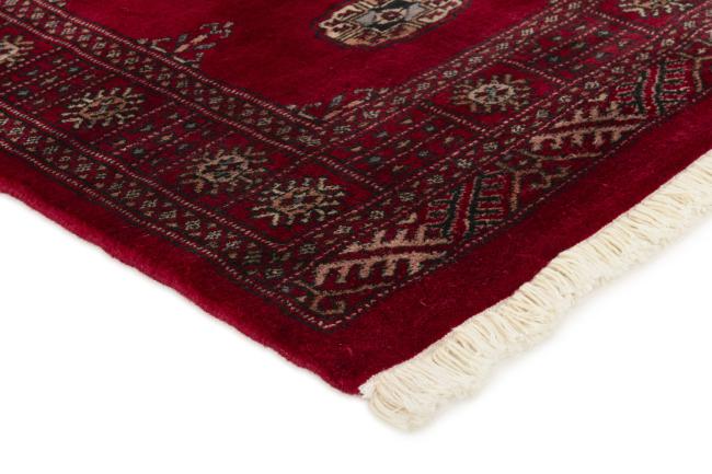 Pakistan Buchara 3ply - 3