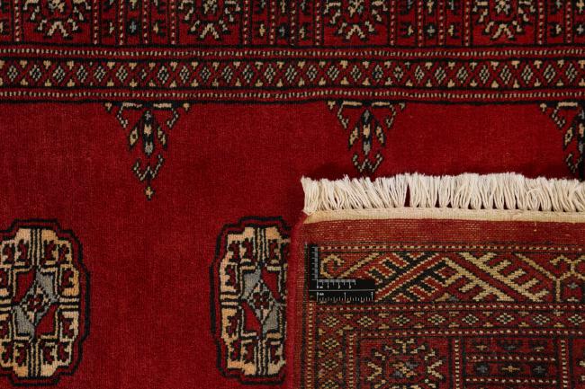 Pakistan Buchara 2ply - 1