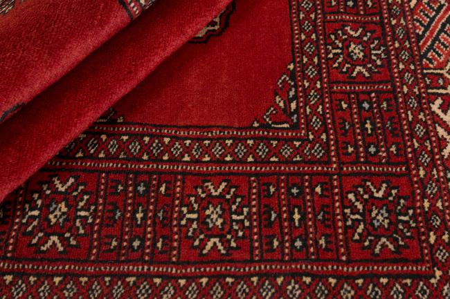 Pakistan Buchara 2ply - 2