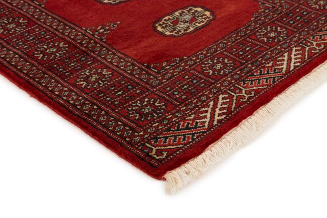 Pakistan Buchara 2ply - 3