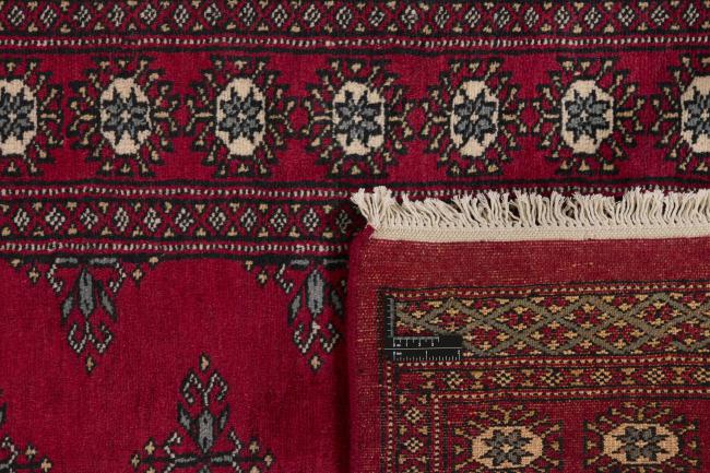 Paquistão Buchara 2ply - 1