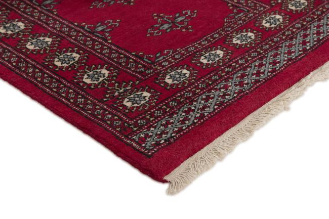 Paquistão Buchara 2ply - 3