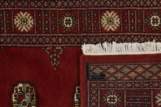 Pakistan Buchara 3ply - 1