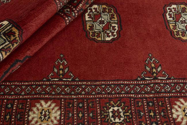 Pakistan Buchara 3ply - 2