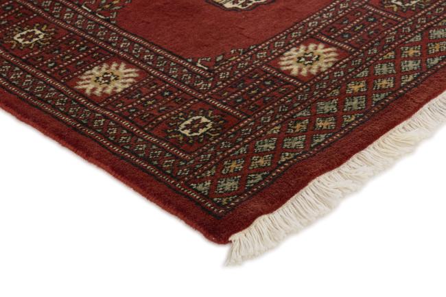 Pakistan Buchara 3ply - 3