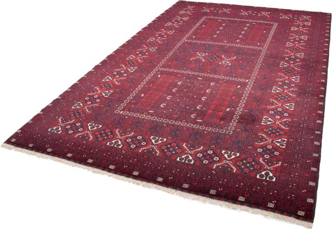 Afghan Mauri - 1