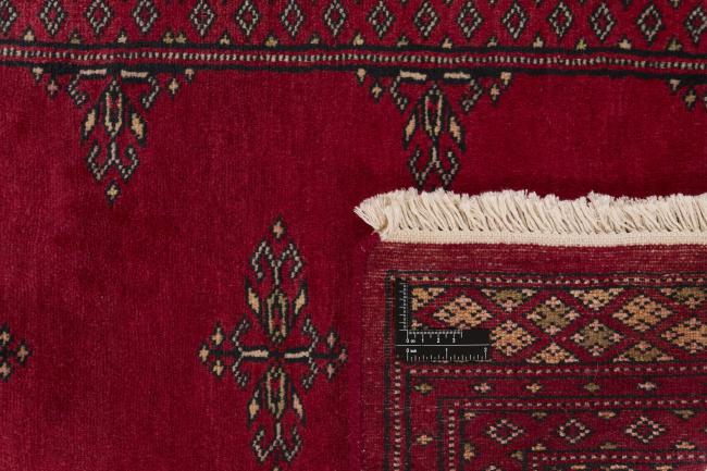 Pakistan Buchara 2ply - 1